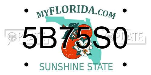 5B75S0 Florida License Plate
