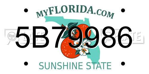5B79986 Florida License Plate
