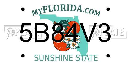5B84V3 Florida License Plate