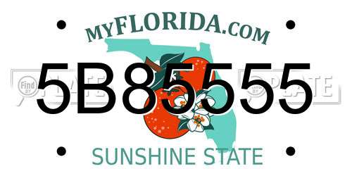 5B85555 Florida License Plate