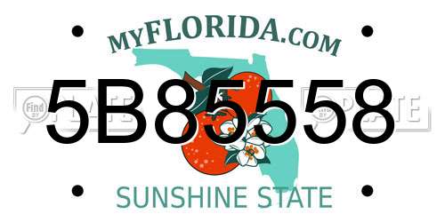 5B85558 Florida License Plate