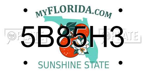 5B85H3 Florida License Plate