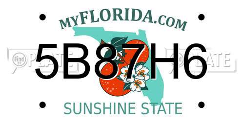 5B87H6 Florida License Plate