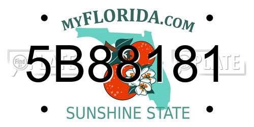5B88181 Florida License Plate