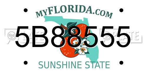5B88555 Florida License Plate