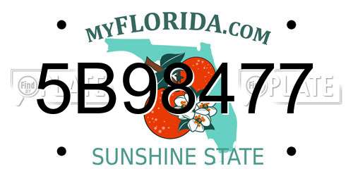 5B98477 Florida License Plate