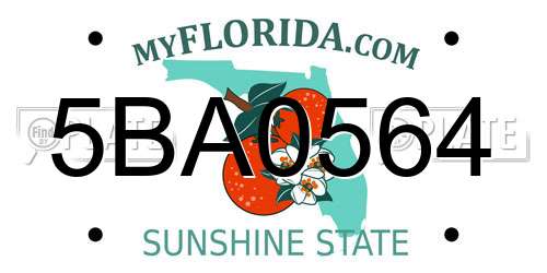 5BA0564 Florida License Plate