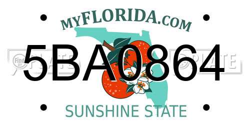 5BA0864 Florida License Plate