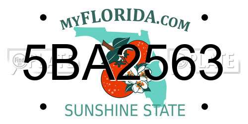 5BA2563 Florida License Plate
