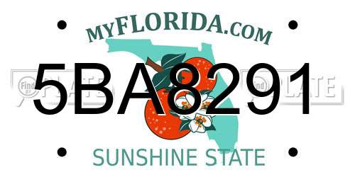 5BA8291 Florida License Plate