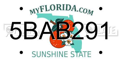 5BAB291 Florida License Plate