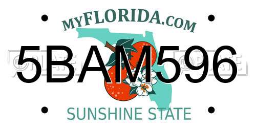 5BAM596 Florida License Plate