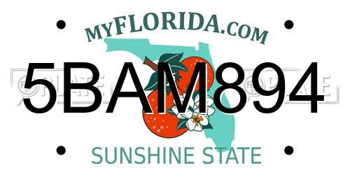 5BAM894 Florida License Plate