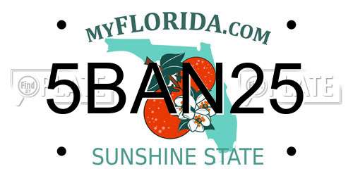 5BAN25 Florida License Plate