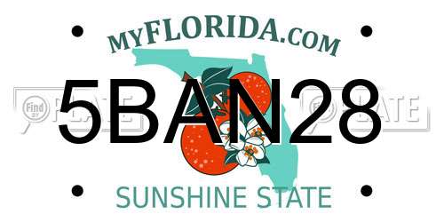 5BAN28 Florida License Plate