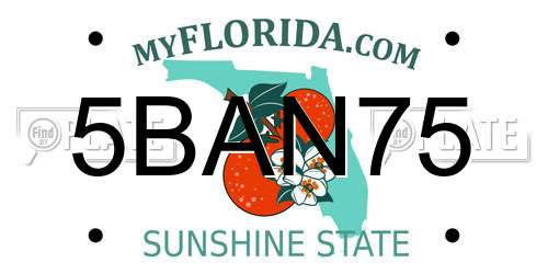 5BAN75 Florida License Plate