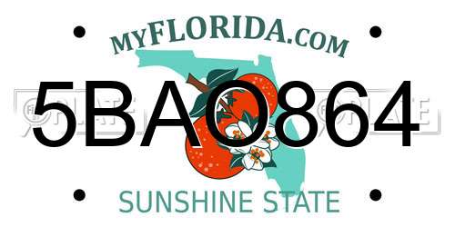 5BAO864 Florida License Plate