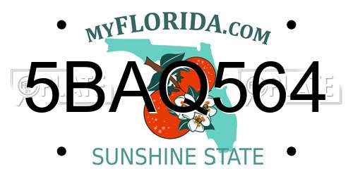 5BAQ564 Florida License Plate