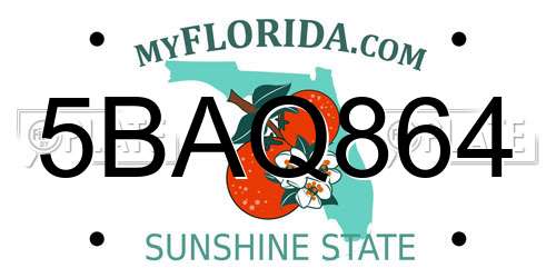 5BAQ864 Florida License Plate