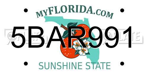 5BAR991 Florida License Plate