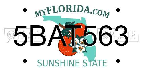 5BAT563 Florida License Plate