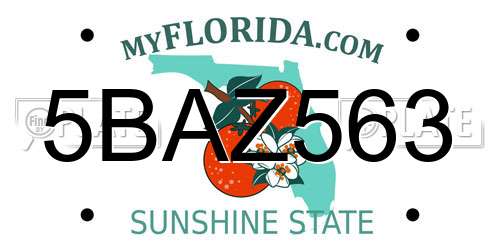 5BAZ563 Florida License Plate