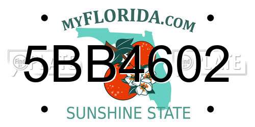 5BB4602 Florida License Plate
