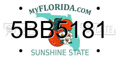 5BB5181 Florida License Plate