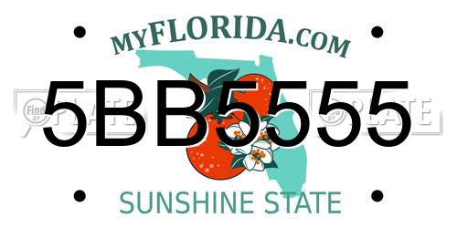 5BB5555 Florida License Plate