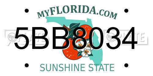 5BB8034 Florida License Plate