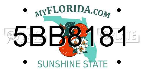 5BB8181 Florida License Plate
