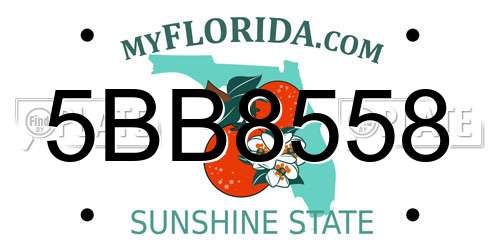 5BB8558 Florida License Plate