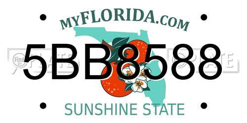 5BB8588 Florida License Plate