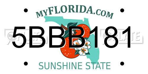5BBB181 Florida License Plate