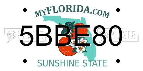 5BBE80 Florida License Plate