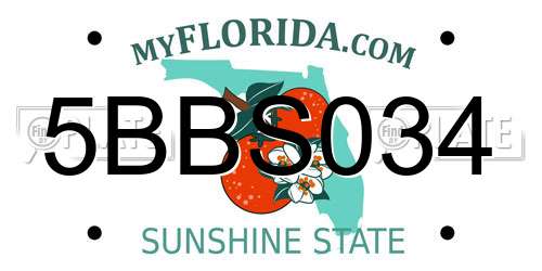 5BBS034 Florida License Plate