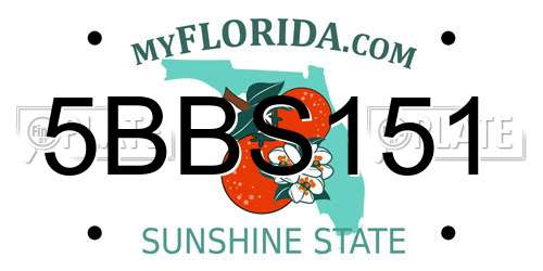 5BBS151 Florida License Plate