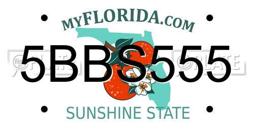 5BBS555 Florida License Plate