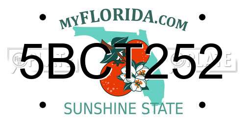 5BCT252 Florida License Plate