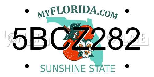 5BCZ282 Florida License Plate