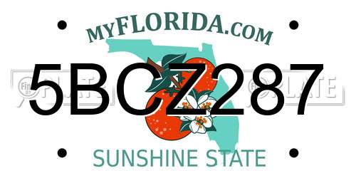 5BCZ287 Florida License Plate