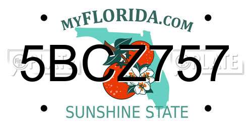 5BCZ757 Florida License Plate