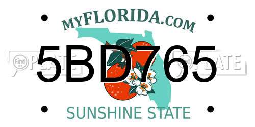 5BD765 Florida License Plate