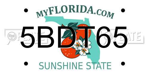 5BDT65 Florida License Plate