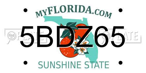 5BDZ65 Florida License Plate