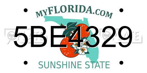 5BE4329 Florida License Plate