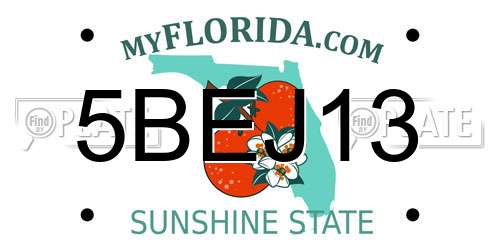 5BEJ13 Florida License Plate