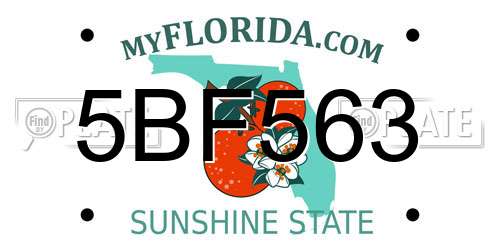 5BF563 Florida License Plate