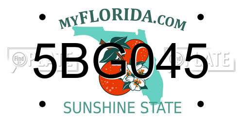 5BG045 Florida License Plate