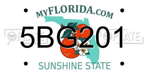 5BG201 Florida License Plate